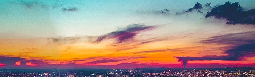 舟山茶虫网_舟山品茶